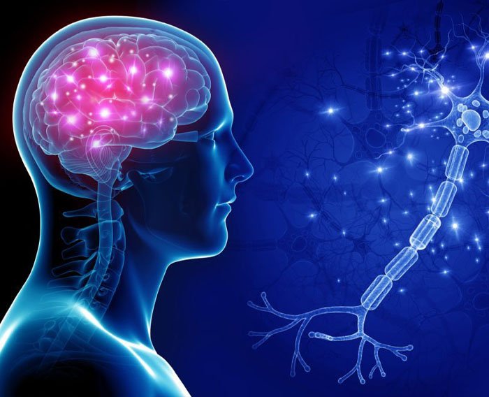 Neurology